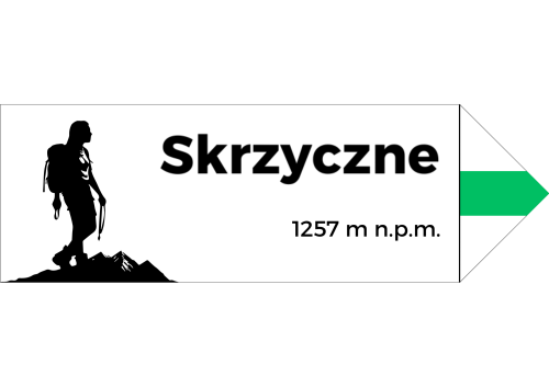Projekt bez nazwy - 2024-08-07T100924.114.png