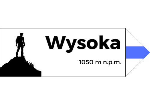 Projekt bez nazwy - 2024-08-07T100033.737.png