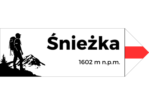 Projekt bez nazwy - 2024-08-07T095417.396.png