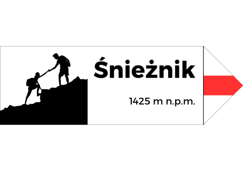 Projekt bez nazwy - 2024-08-07T095249.973.png