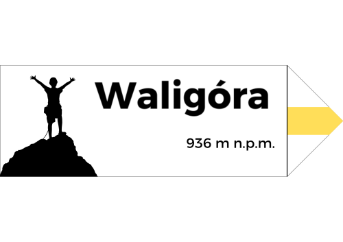 Projekt bez nazwy - 2024-08-07T093139.974.png