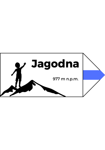 Projekt bez nazwy (3).png