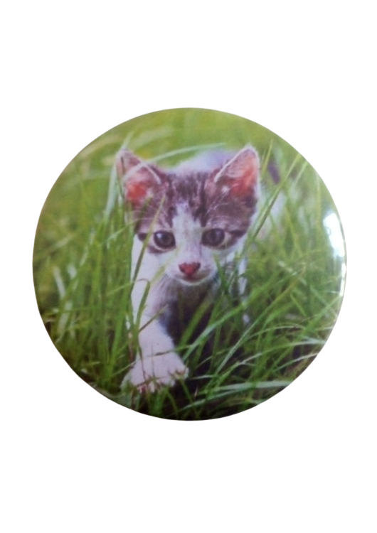 TWOJE ZDJĘCIE, NAPIS, RYSUNEK (7).png