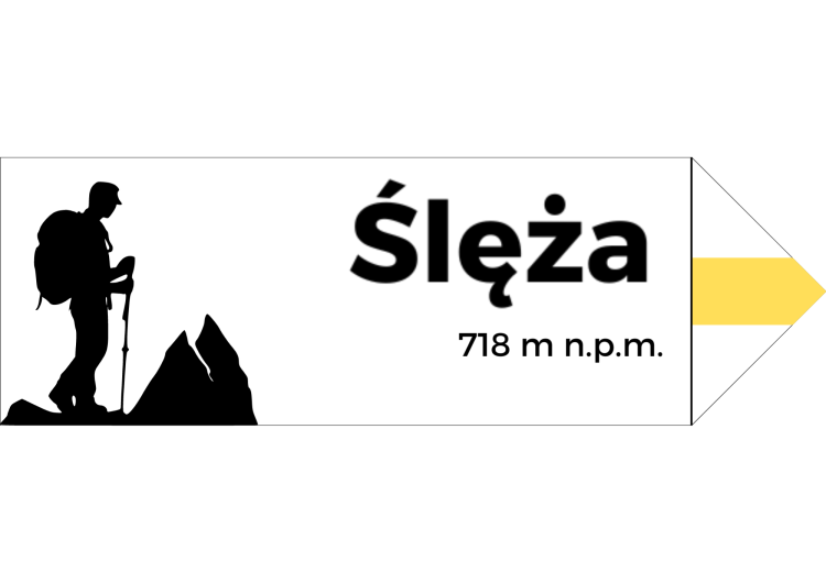 Projekt bez nazwy - 2024-08-07T102709.759.png