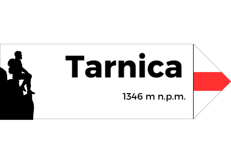 Projekt bez nazwy - 2024-08-07T101451.094.png