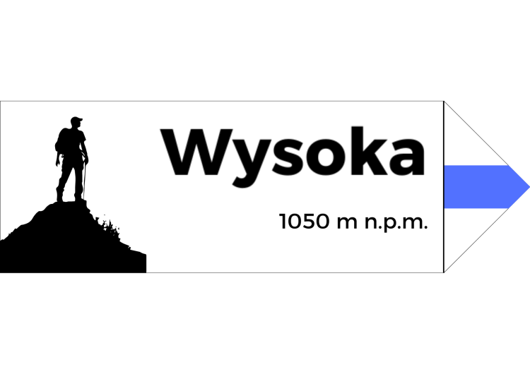 Projekt bez nazwy - 2024-08-07T100033.737.png