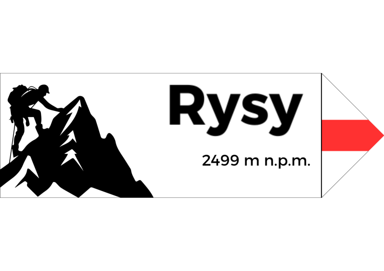 Projekt bez nazwy - 2024-08-07T095901.638.png