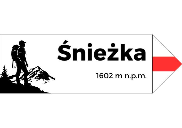 Projekt bez nazwy - 2024-08-07T095417.396.png