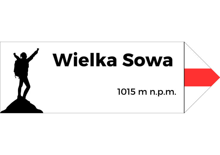 Projekt bez nazwy - 2024-08-07T095044.048.png