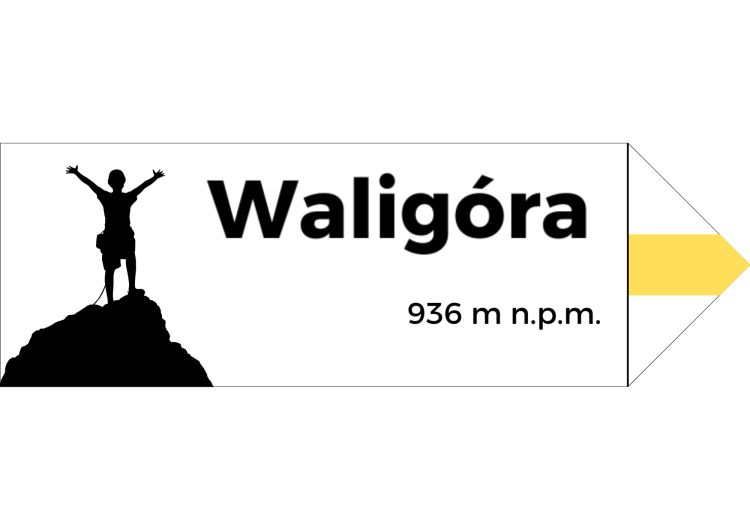 Projekt bez nazwy - 2024-08-07T093139.974.png