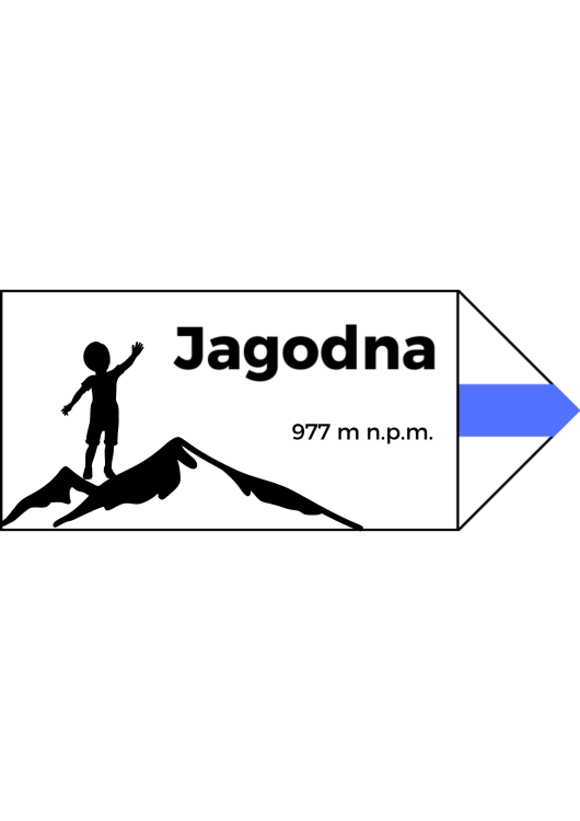 Projekt bez nazwy (3).png