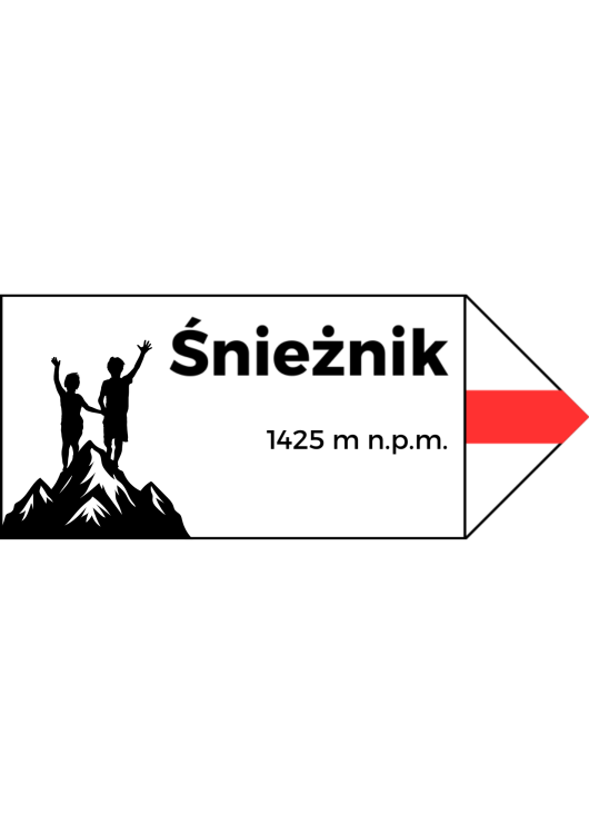 Projekt bez nazwy (7).png