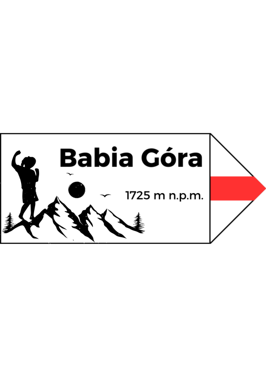 Projekt bez nazwy (9).png