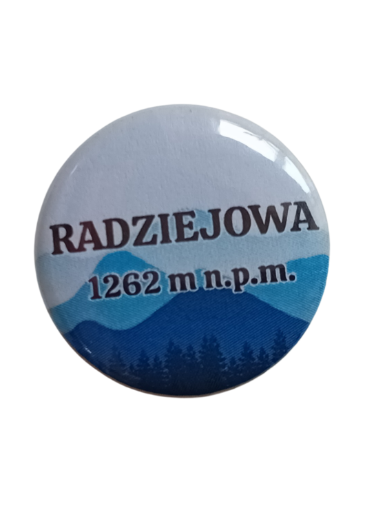 Projekt bez nazwy - 2025-06-12T083610.998.png