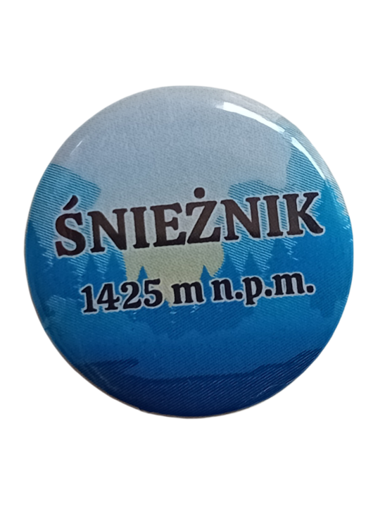 Projekt bez nazwy - 2025-06-12T084851.174.png