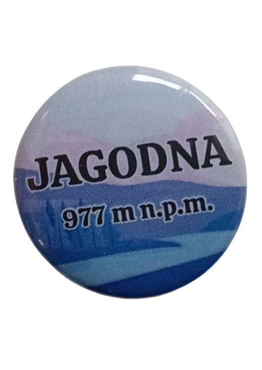 Projekt bez nazwy - 2025-06-12T090123.640.png