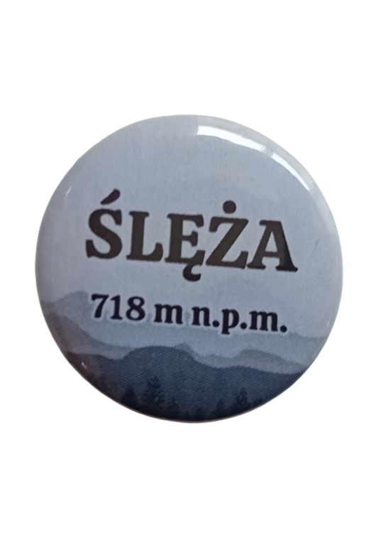 Projekt bez nazwy - 2025-06-12T083519.156.png