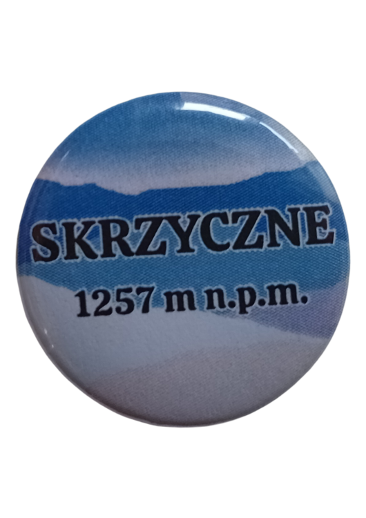 Projekt bez nazwy - 2025-06-12T090236.803.png