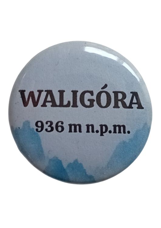 Projekt bez nazwy - 2025-06-12T084609.180.png