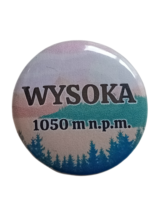 Projekt bez nazwy - 2025-06-12T084720.811.png