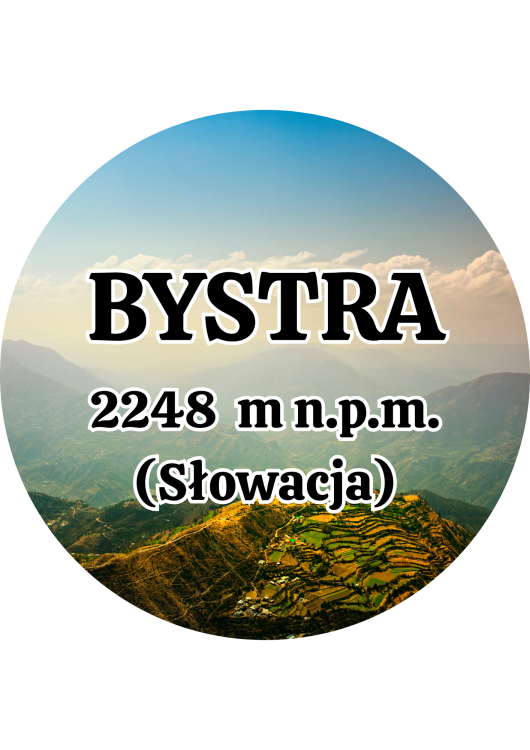 Dodaj nagłówek - 2025-09-01T140256.388.png