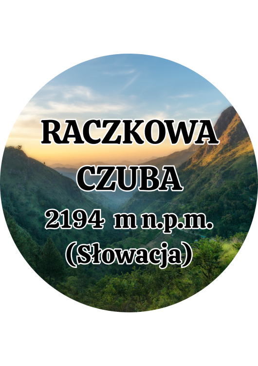 Dodaj nagłówek - 2025-09-01T142037.321.png