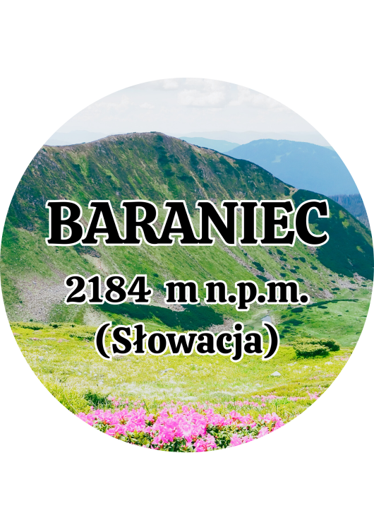 Dodaj nagłówek - 2025-09-01T142850.011.png