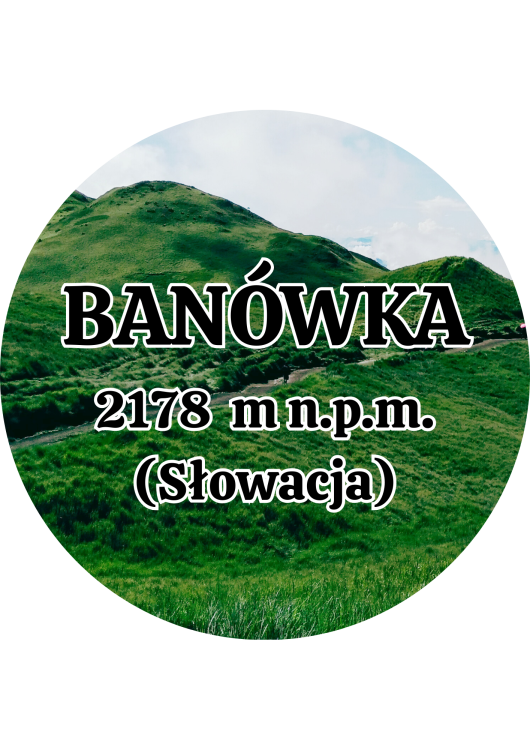 Dodaj nagłówek - 2025-09-01T142953.446.png