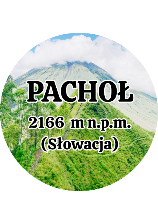 Dodaj nagłówek - 2025-09-01T144019.901.png