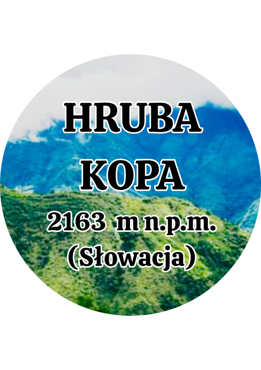 Dodaj nagłówek - 2025-09-01T144331.440.png