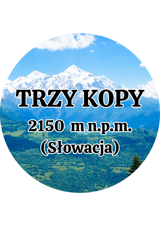 Dodaj nagłówek - 2025-09-01T145153.913.png