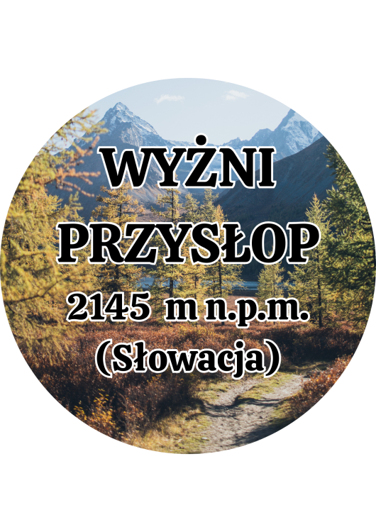 Dodaj nagłówek - 2025-09-01T145517.485.png