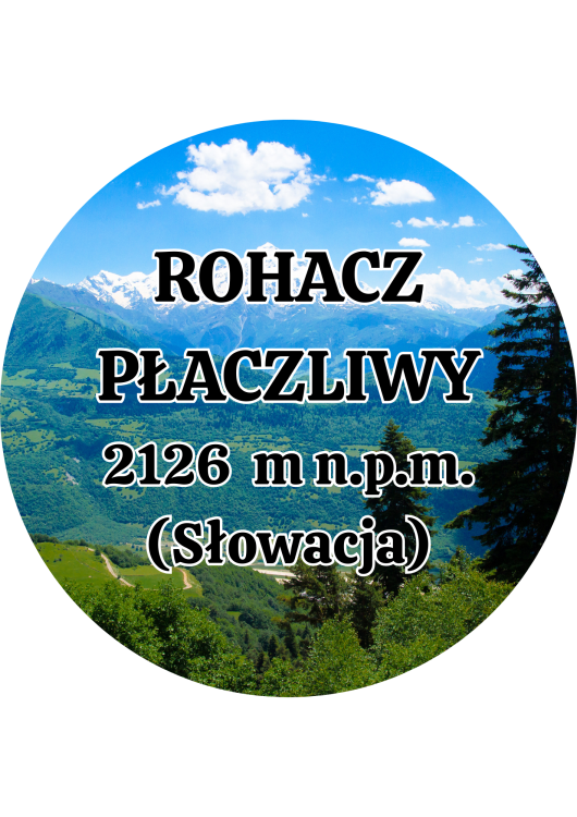 Dodaj nagłówek - 2025-09-04T132422.530.png