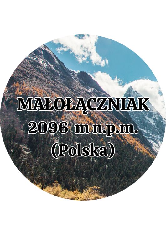Dodaj nagłówek - 2025-09-04T133534.378.png