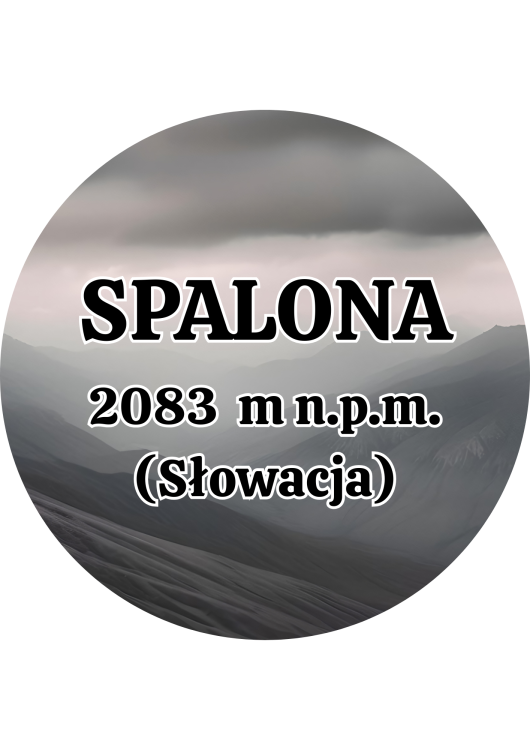 Dodaj nagłówek - 2025-09-04T134614.581.png