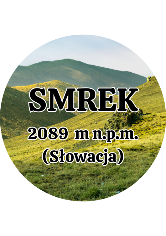 Dodaj nagłówek - 2025-09-04T134917.594.png