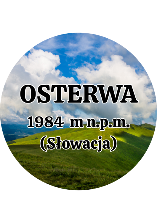 Dodaj nagłówek - 2025-09-04T142404.540.png