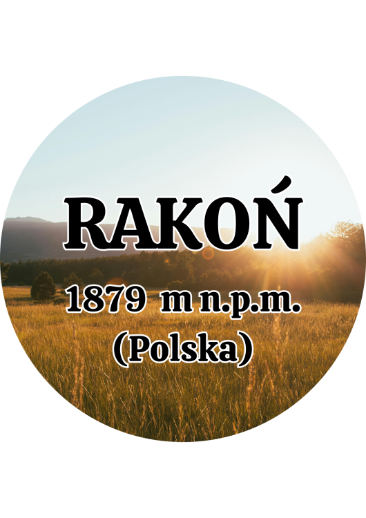 Dodaj nagłówek - 2025-09-04T143130.824.png