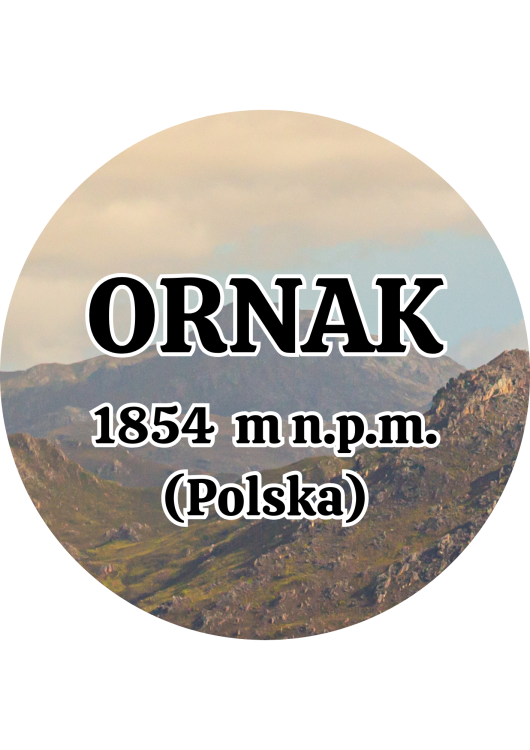 Dodaj nagłówek - 2025-09-04T143809.819.png