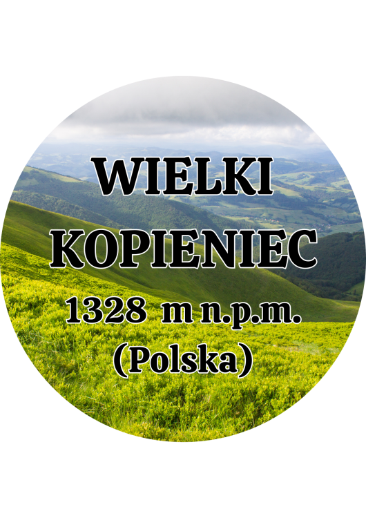 Dodaj nagłówek - 2025-09-04T145823.504.png