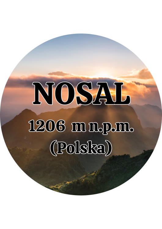 Dodaj nagłówek - 2025-09-05T104952.979.png