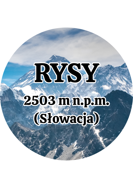 Dodaj nagłówek (16).png