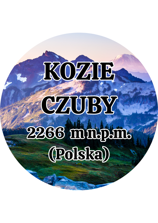 Dodaj nagłówek - 2025-09-01T140011.964.png