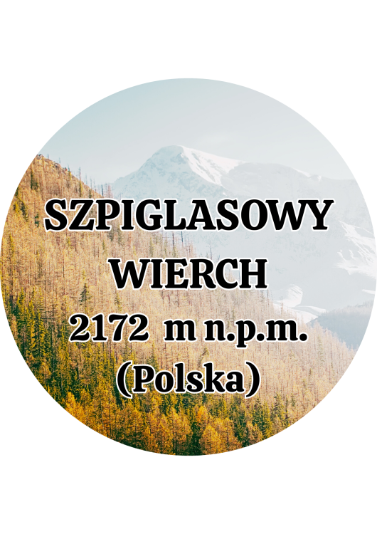Dodaj nagłówek - 2025-09-01T143737.727.png