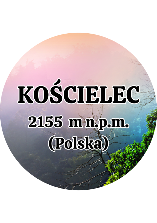 Dodaj nagłówek - 2025-09-01T144806.393.png