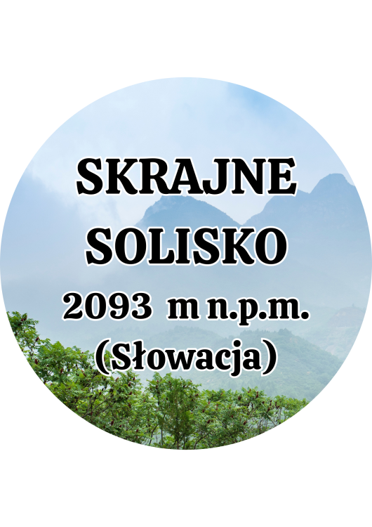 Dodaj nagłówek - 2025-09-04T134115.242.png