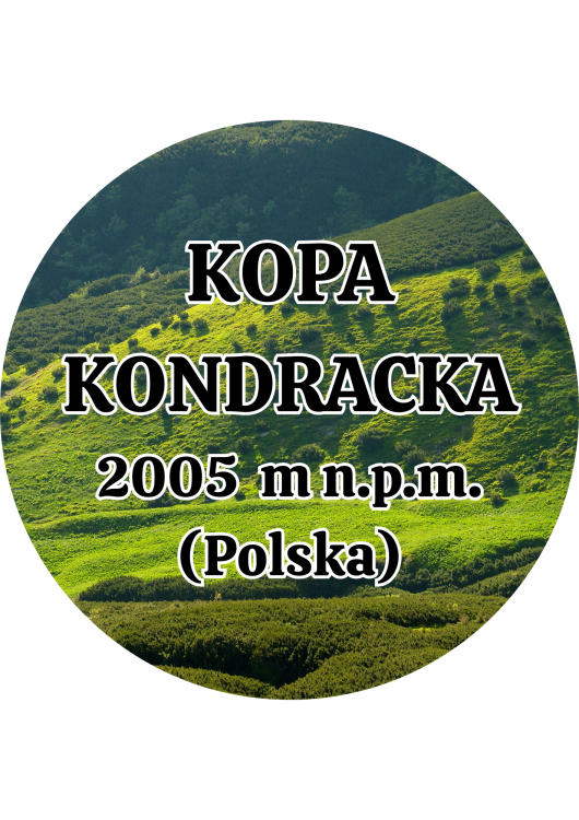 Dodaj nagłówek - 2025-09-04T141634.995.png