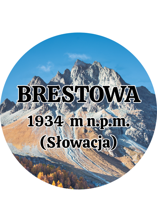 Dodaj nagłówek - 2025-09-04T142636.402.png