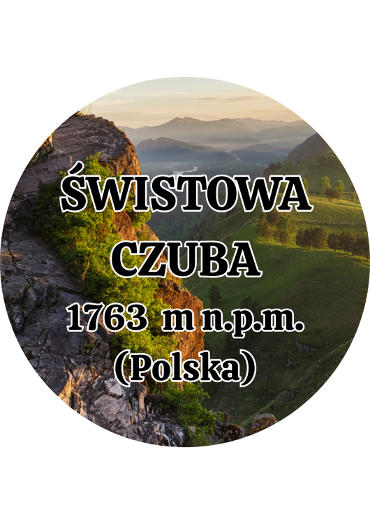 Dodaj nagłówek - 2025-09-04T143520.805.png