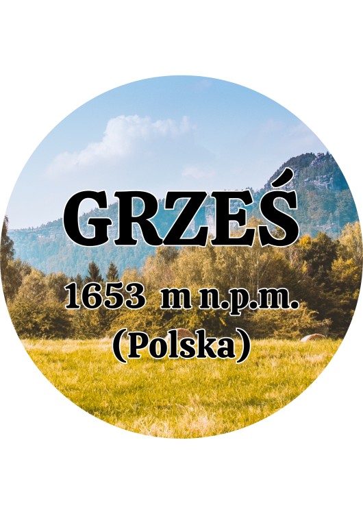 Dodaj nagłówek - 2025-09-04T144958.341.png